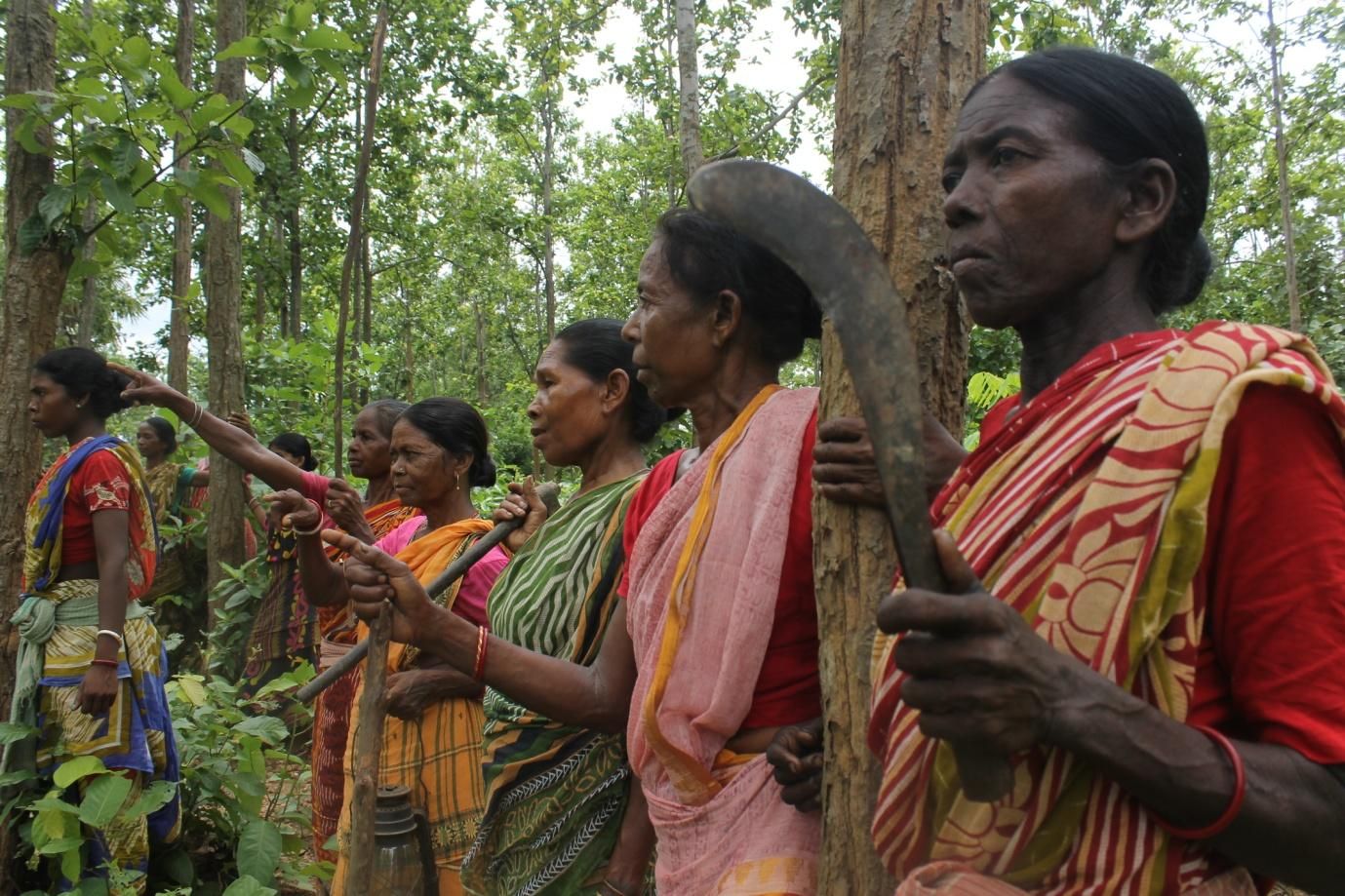 31 july - adivasi2.jpg