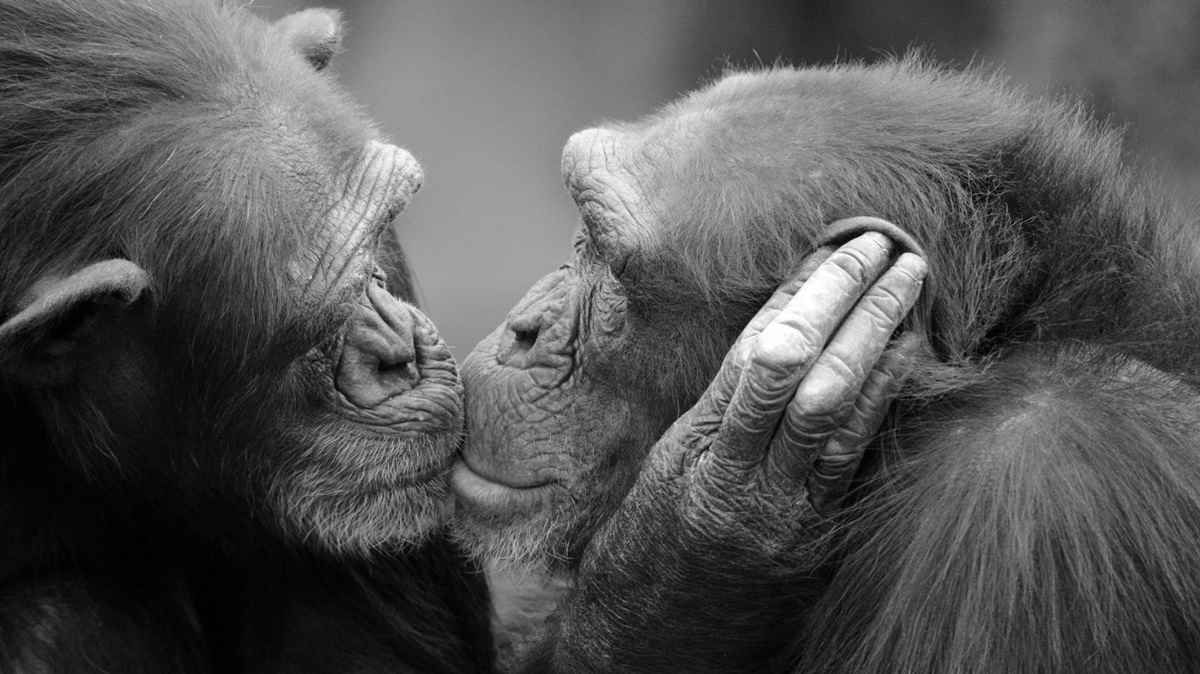 13 feb - kiss2.jpg