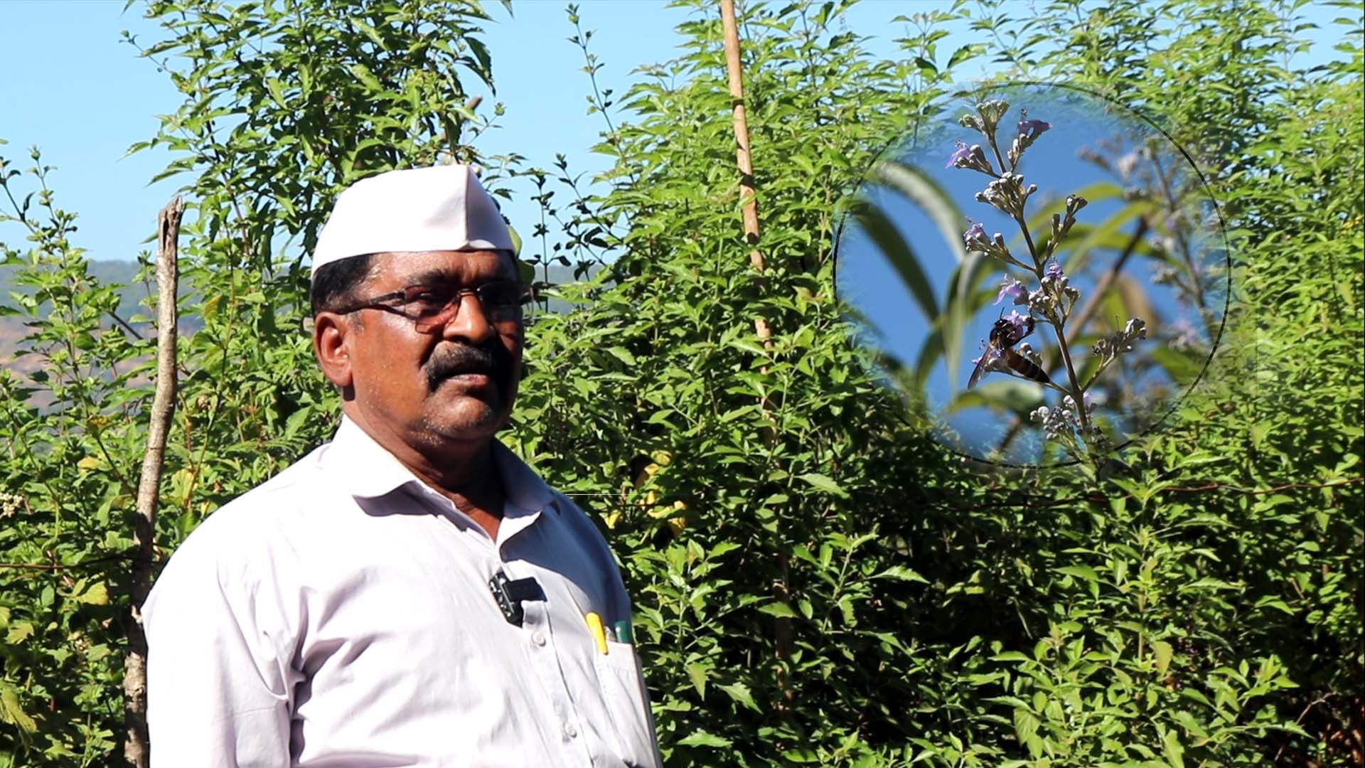 Ramesh Jadhav .jpg