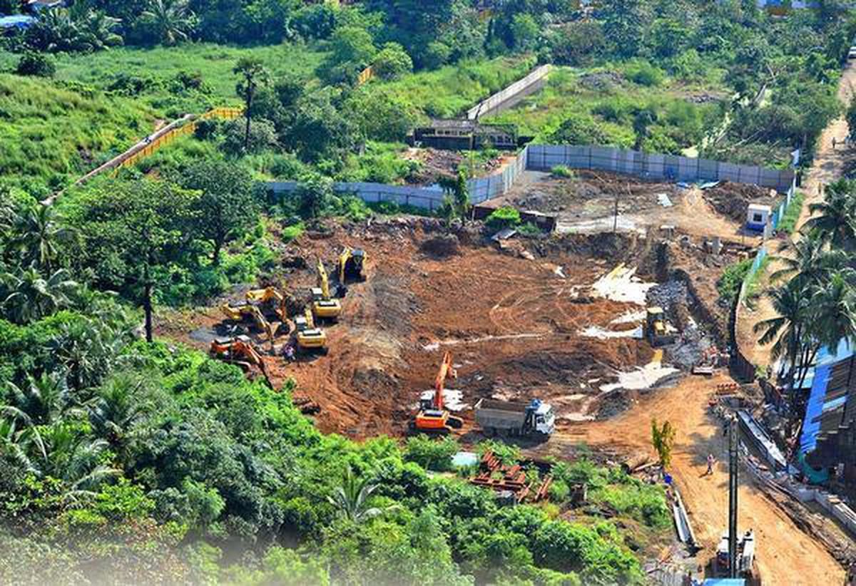 aarey2.jpeg