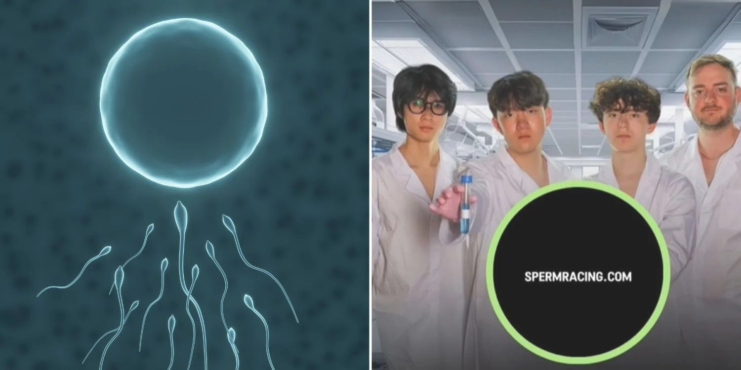 21 april - sperm2 jpg.jpg
