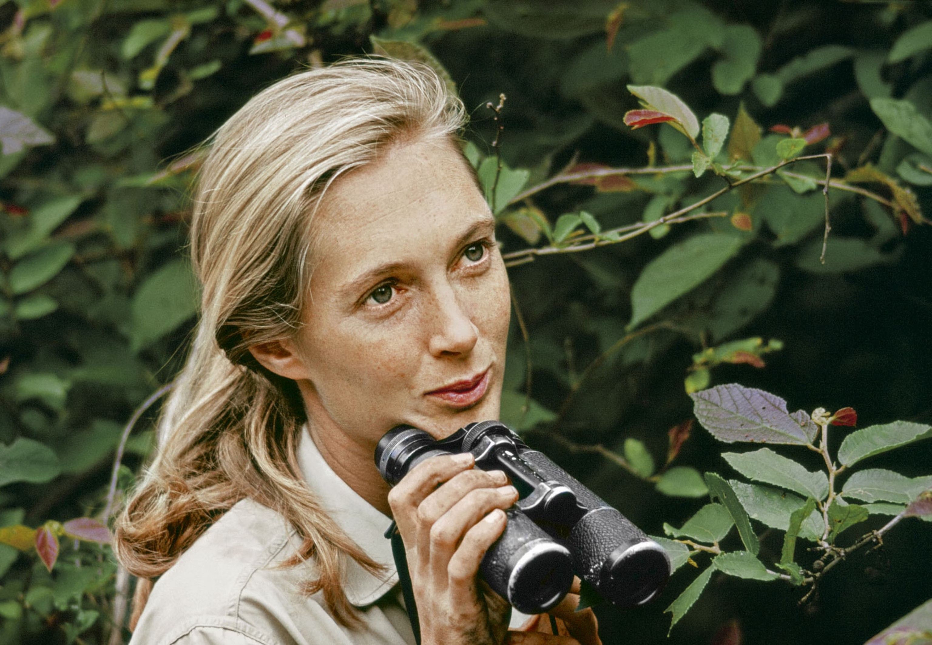 03oct-jane2 jpg.jpg