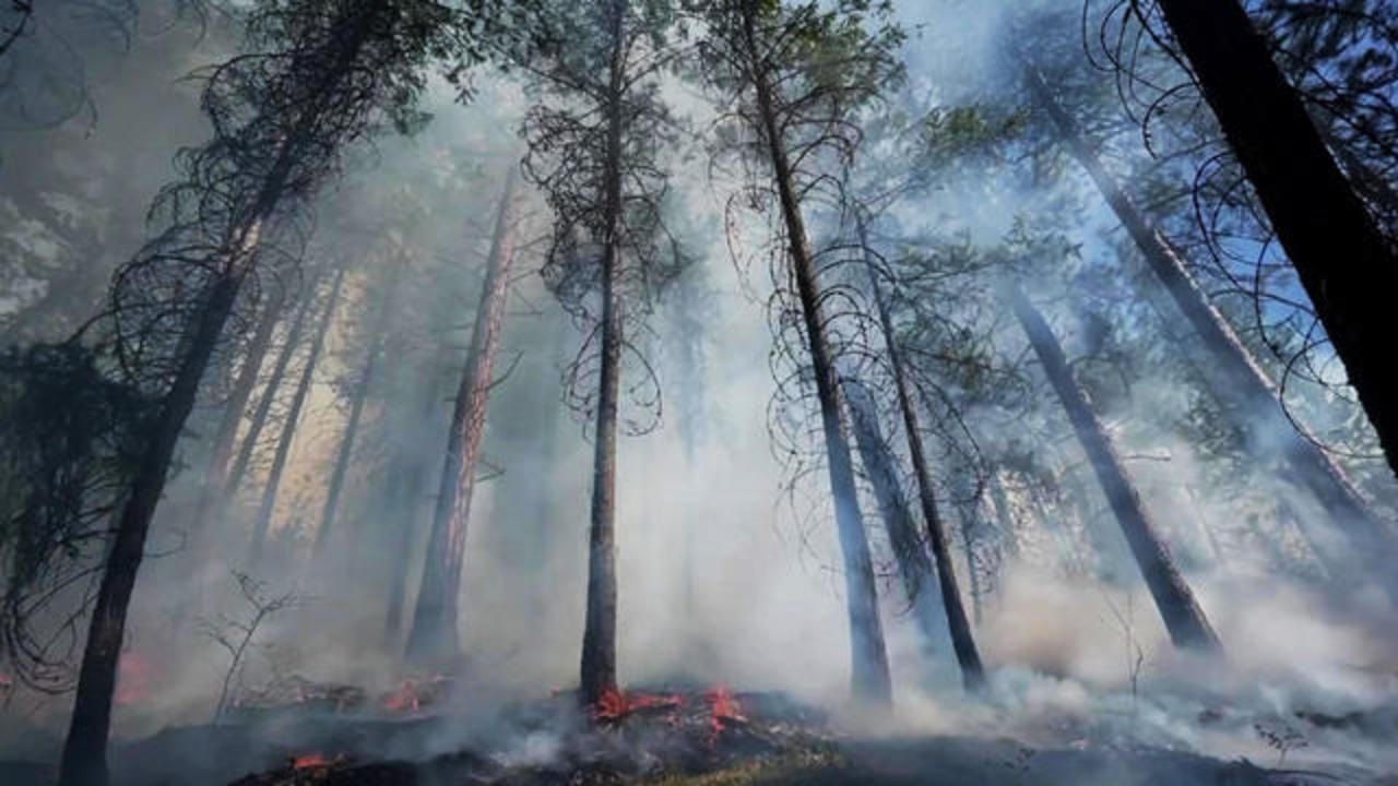 21 april - fire2 JPG.jpg