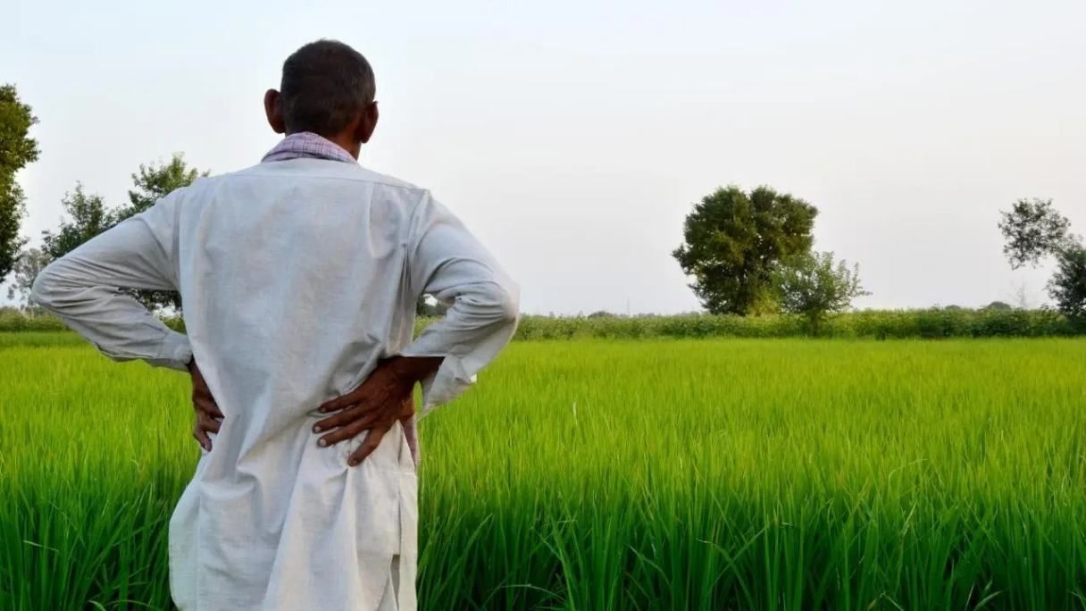A rural farmer, dressed in a traditional white kurta, stands with his hands on his waist, gazing over a lush green paddy field. The image captures the deep connection between farmers and their land, symbolizing hard work, dedication, and the challenges of agriculture. The serene landscape in the background highlights the beauty of rural life.