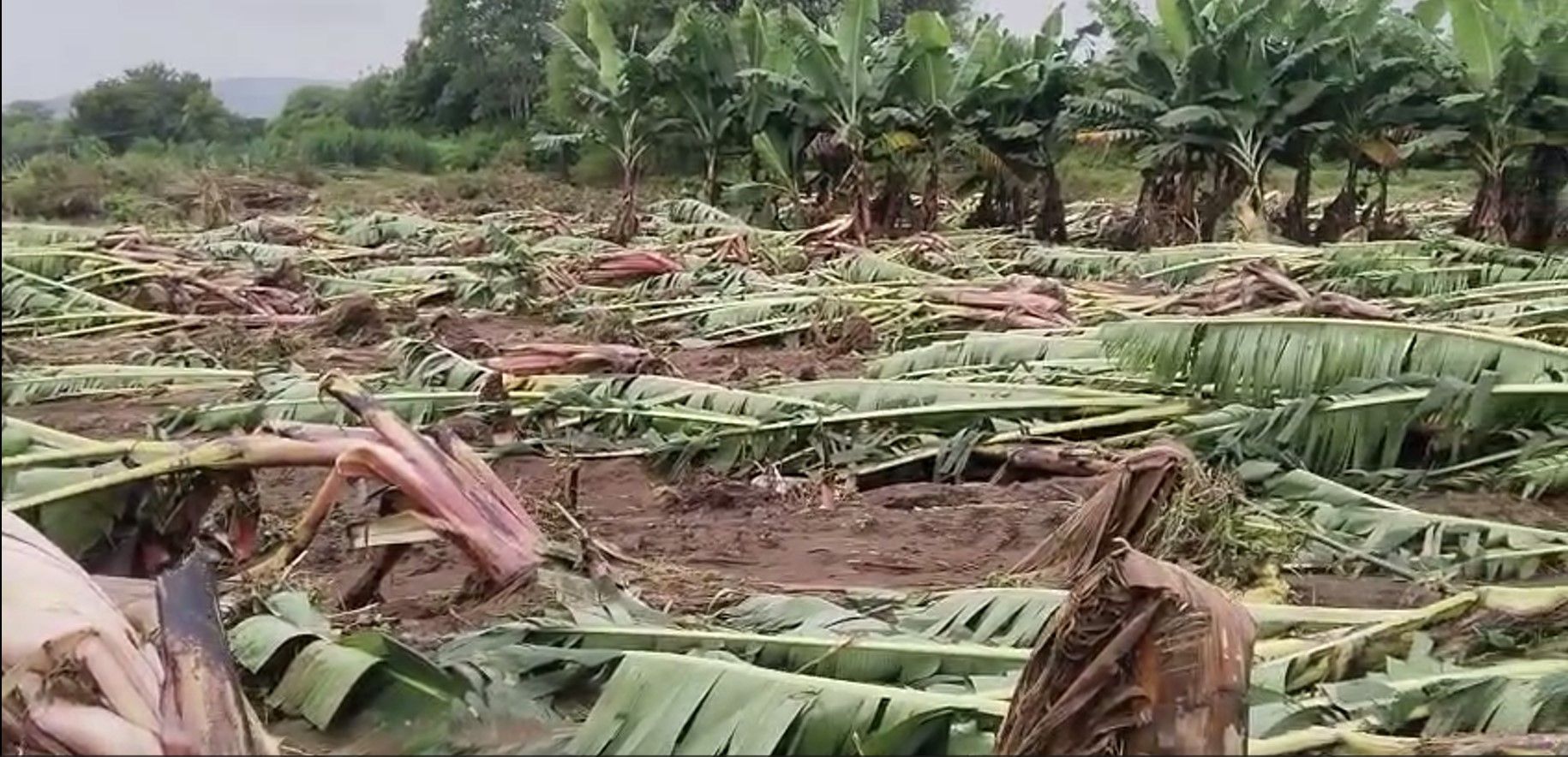 marathwada 1.jpg