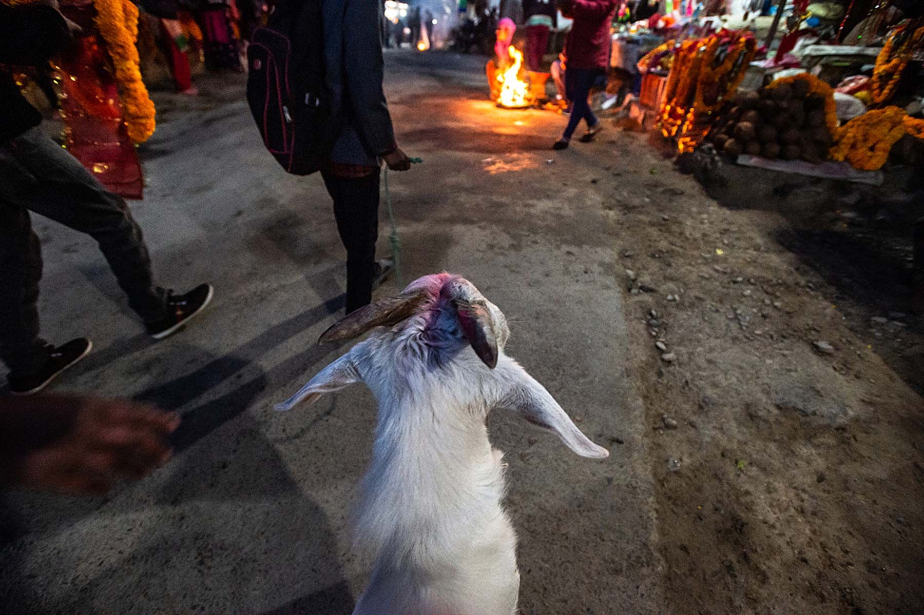 15 feb - yatra-jatra2.jpg