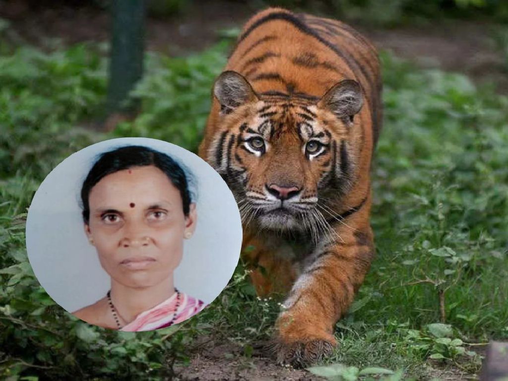 21 may - chandrapur3.jpg
