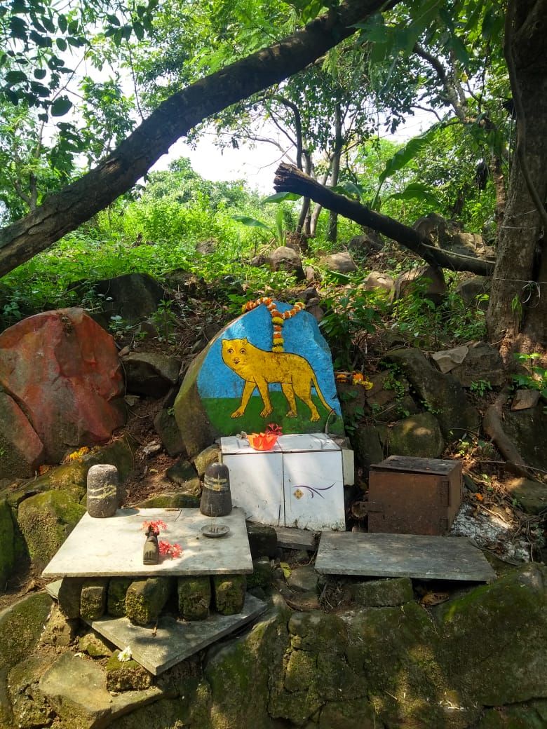 aarey3.jpeg