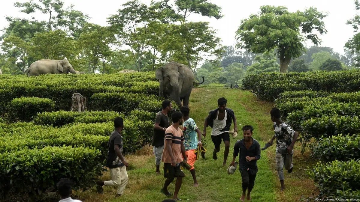 06oct-gokhale2 jpg.jpg
