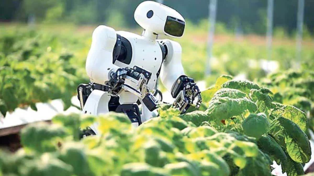 26 june - AI4.jpg