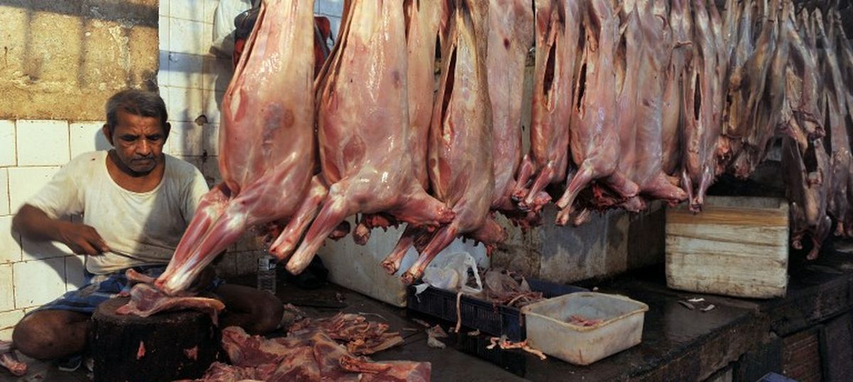22 july - beef3.jpg