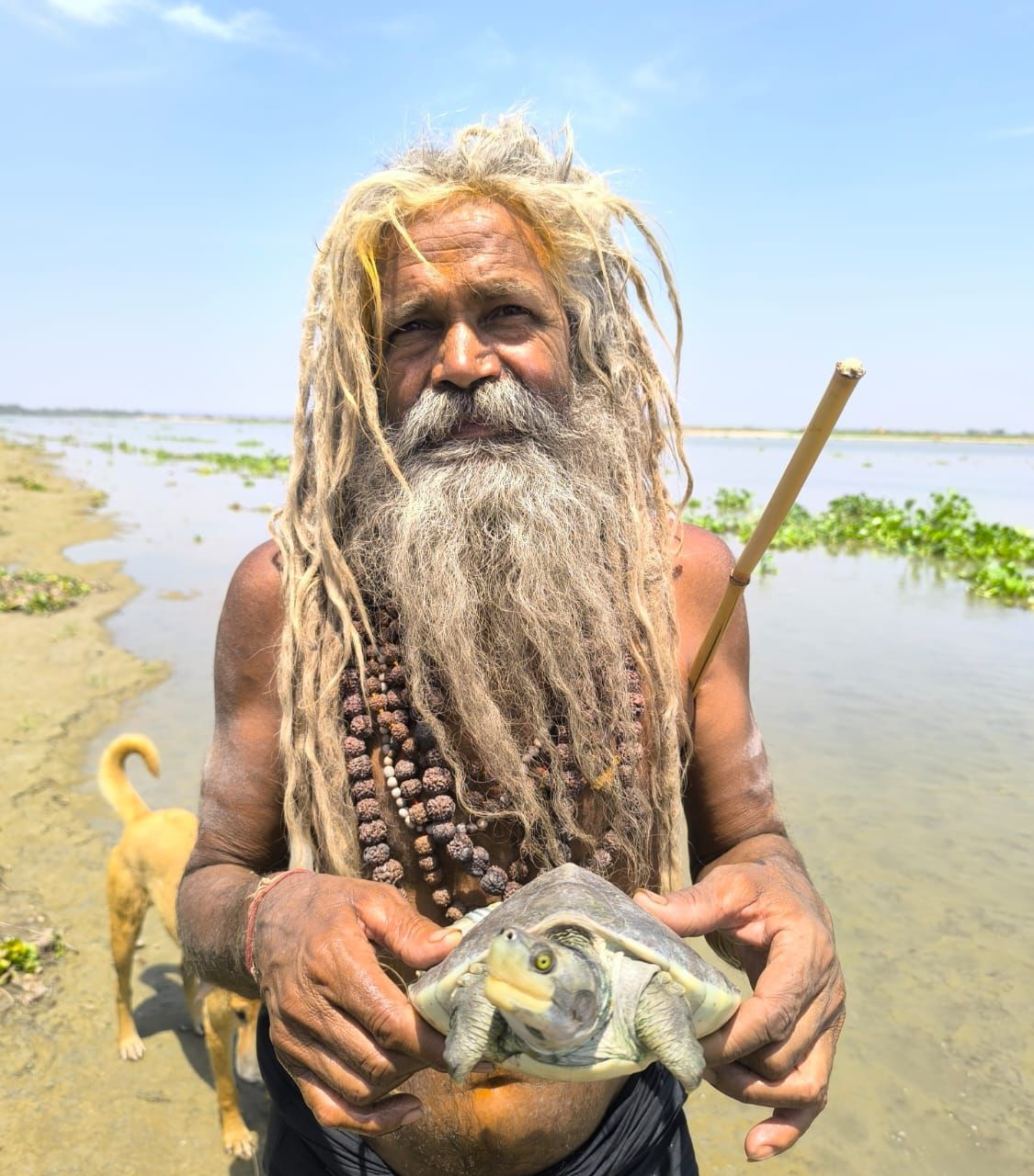 03 june - ganga3.jpeg