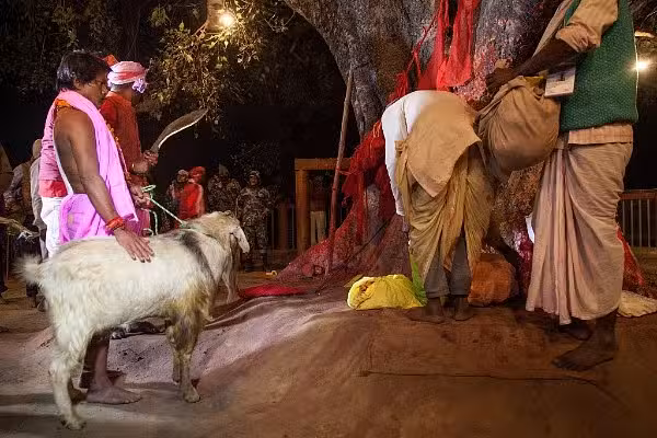 15 feb - yatra-jatra3.avif