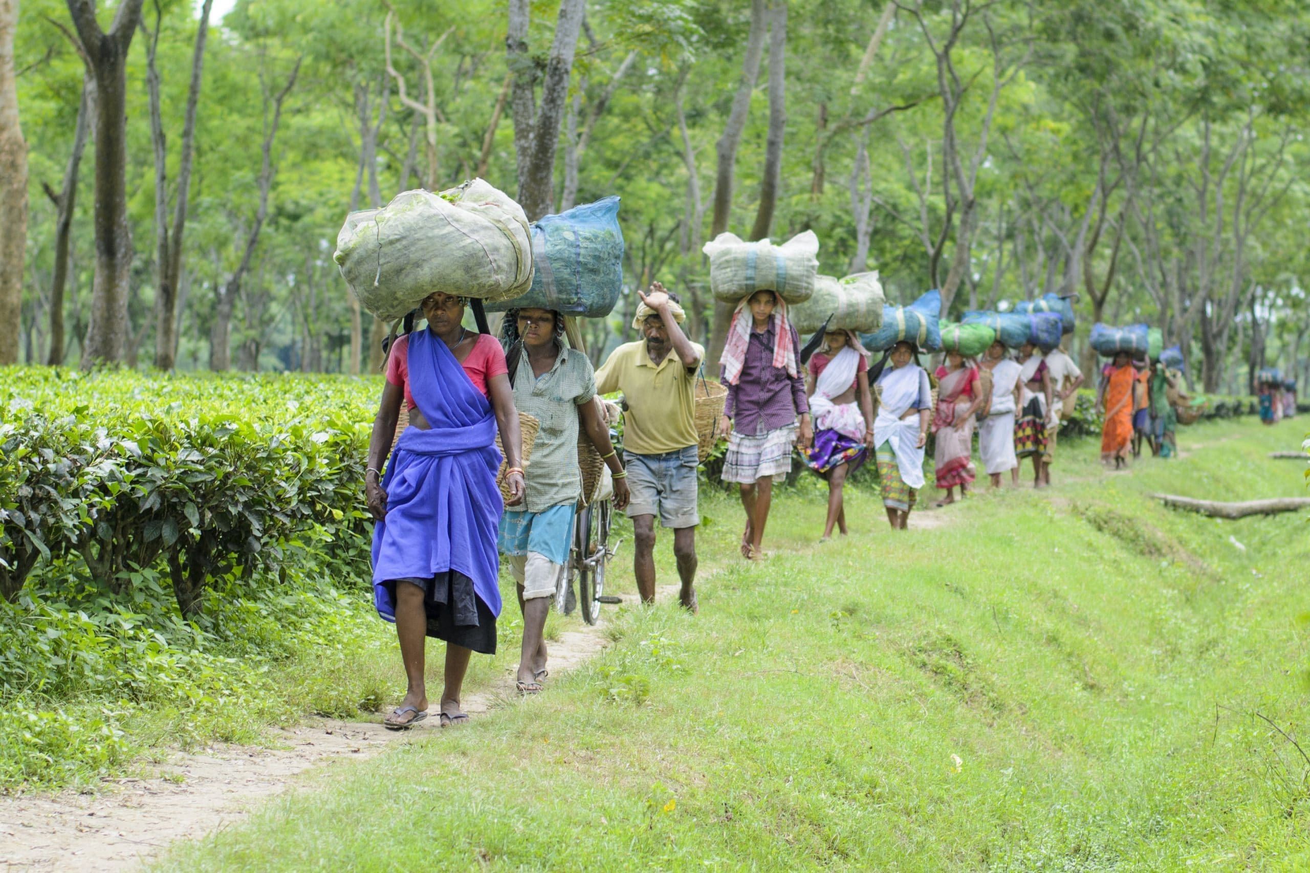 07 march - adivasi4.jpg