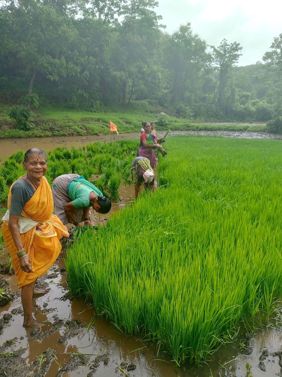 20 aug - dharitri 5.jpg