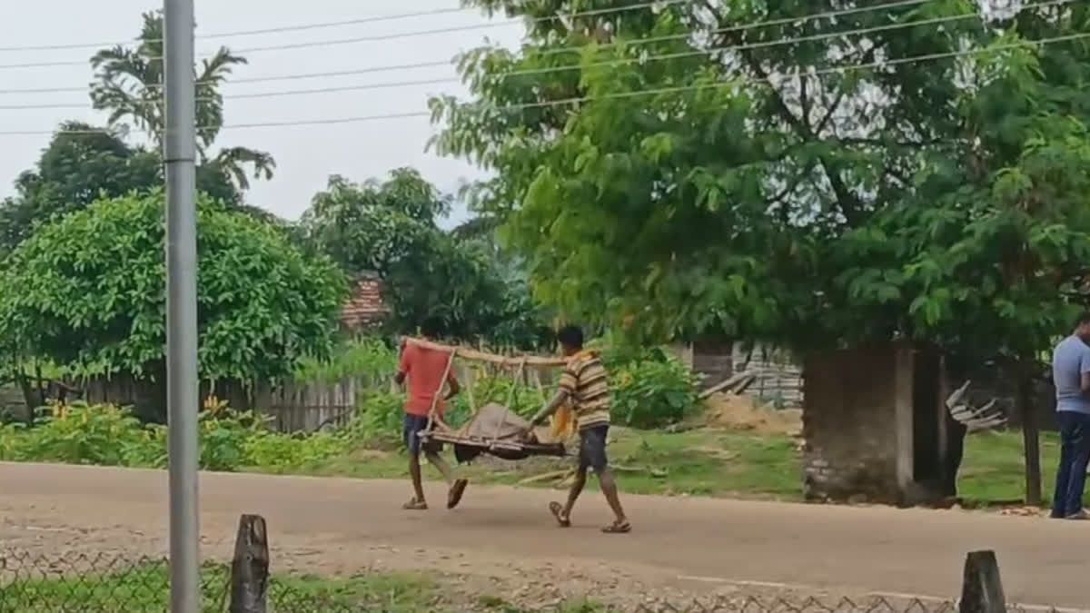 dengu1.jpg