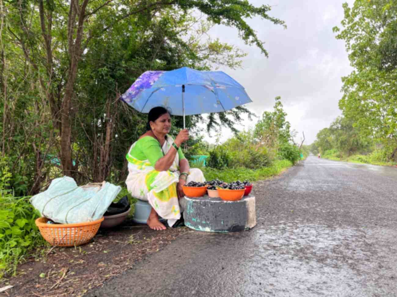 A woman in a traditional green and white saree sits by the roadside under a blue umbrella, selling fresh black jamun fruits in bowls. The setting is a lush rural area with greenery and a wet road, suggesting a recent rain. She has baskets and cloth-covered containers beside her, representing local fruit vendors' resilience and connection to nature.