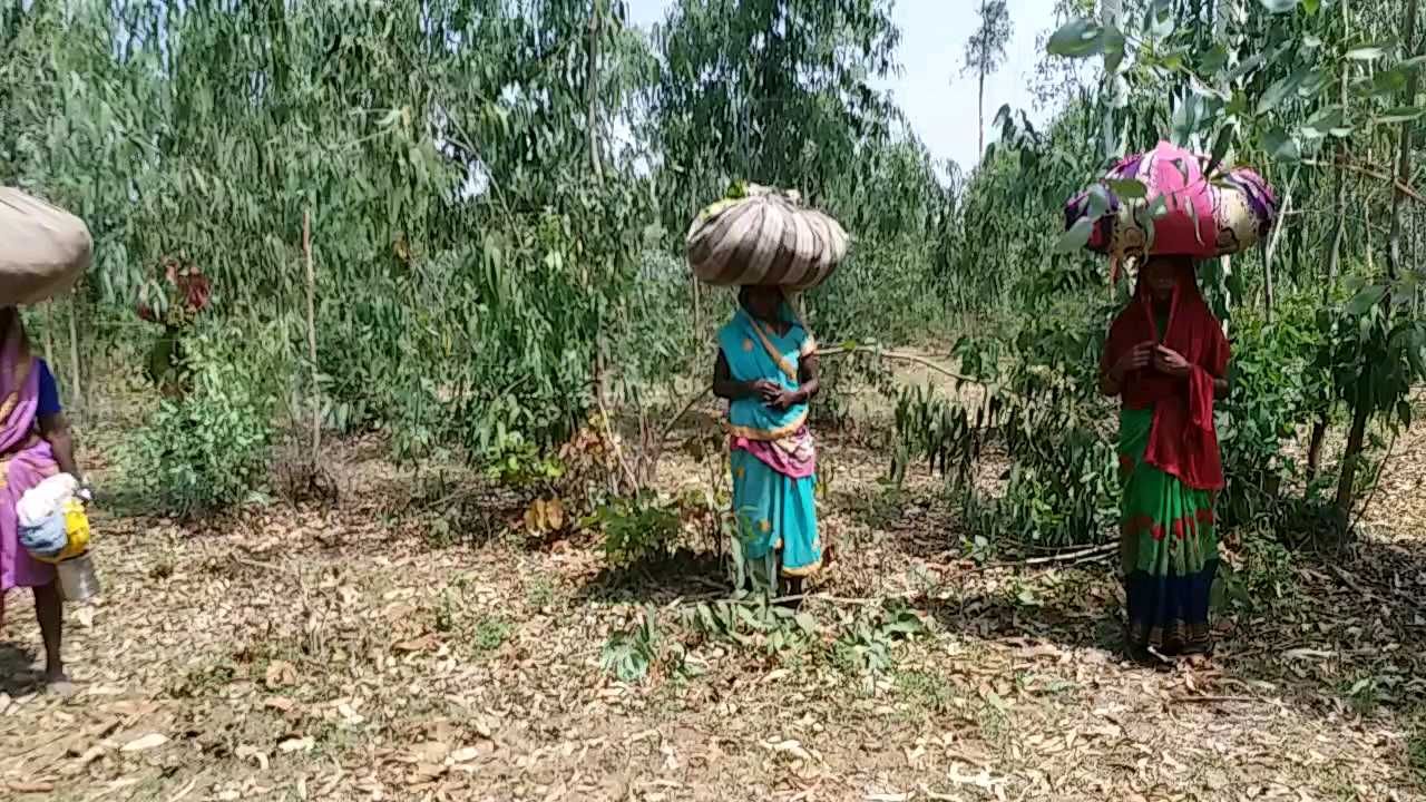 21 may - chandrapur6.jpg