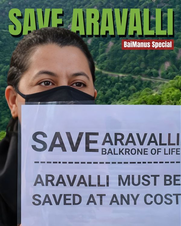 Saving the Aravallis: A Fight to Protect an Ancient Lifeline