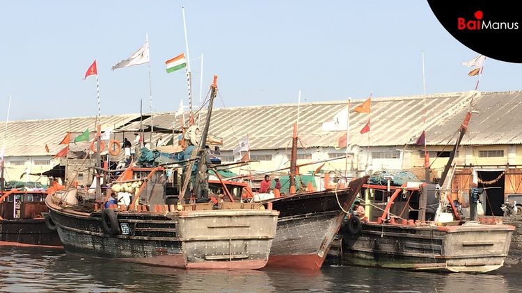 Two Summers of War: Gujarat’s Fisherfolk Are Sinking Into Crisis
