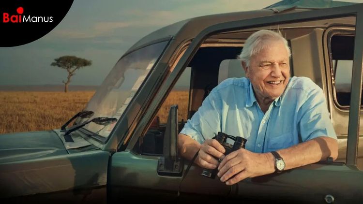 David Attenborough at 100: Why His Legacy is the Planet's Living Archive